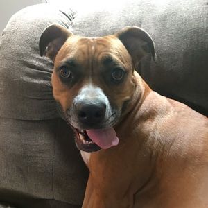 Meet your Posher, Cody